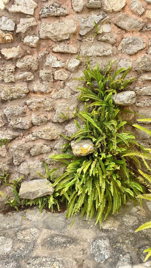 Agroturisme Son Cardaix Arta Ngoại thất bức ảnh